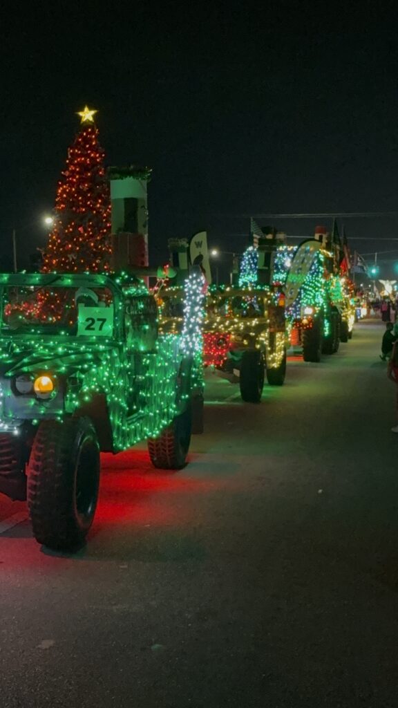 IMG_6033 City Lights Parade